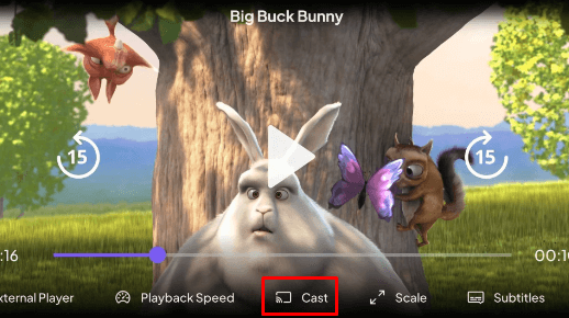 Hit the Cast icon on Stremio app